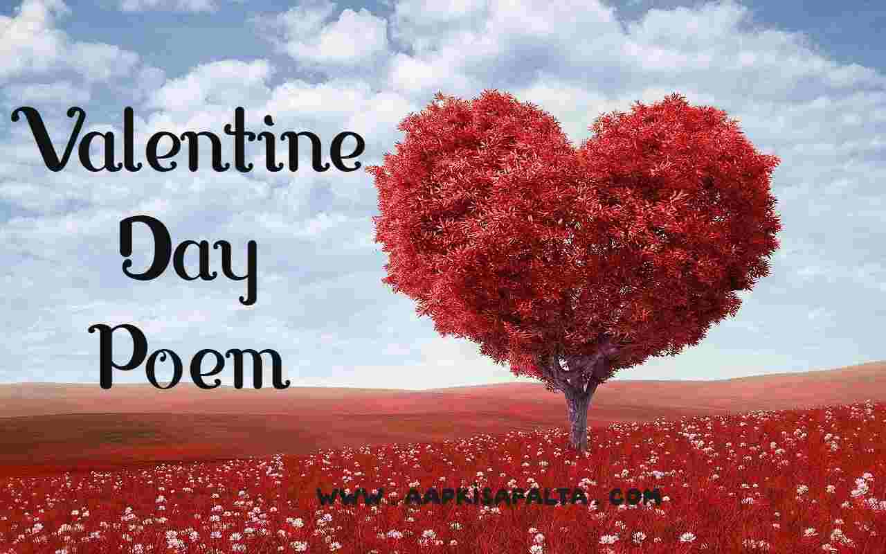 valentine day poems hindi
